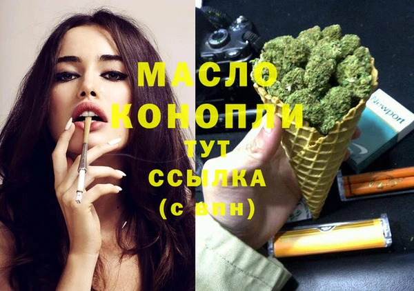 apvp Горняк
