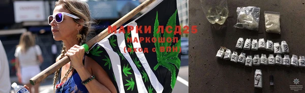 молекула духа Горнозаводск