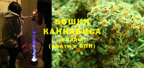 молекула духа Горнозаводск