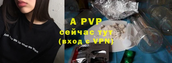 молекула духа Горнозаводск