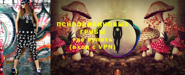 apvp Горняк