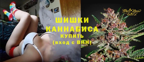 твердый Горно-Алтайск