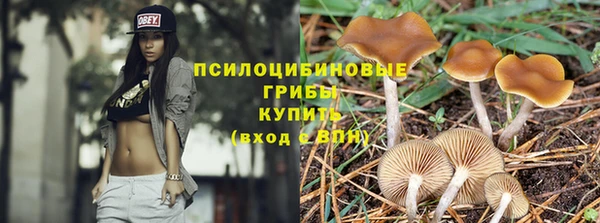 твердый Горно-Алтайск