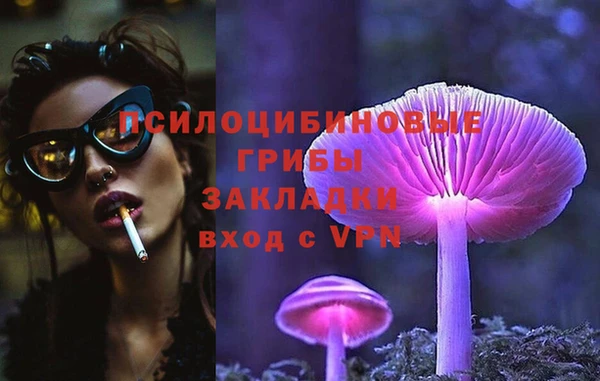твердый Горно-Алтайск