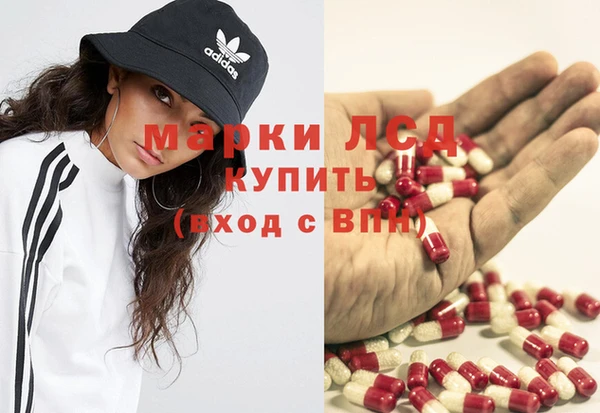 apvp Горняк