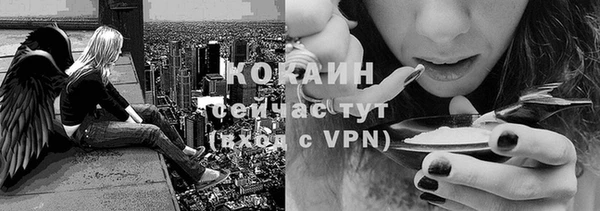 apvp Горняк