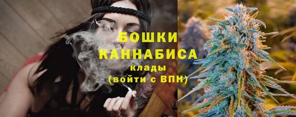 apvp Горняк