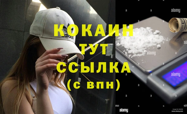 молекула духа Горнозаводск