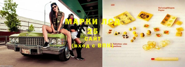 молекула духа Горнозаводск